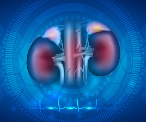 sh-ime_news-asco20coverage2
